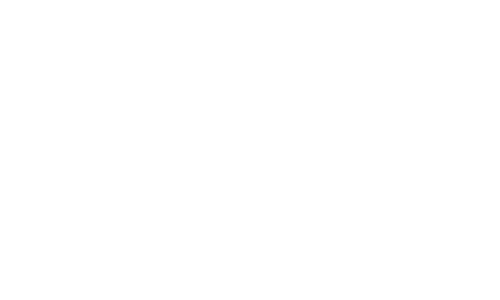 budweiser