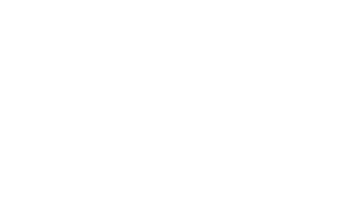 disfarce